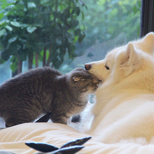 lls_app_2024_apk安装包
