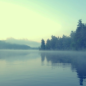 lls_app_2024_apk安装包
